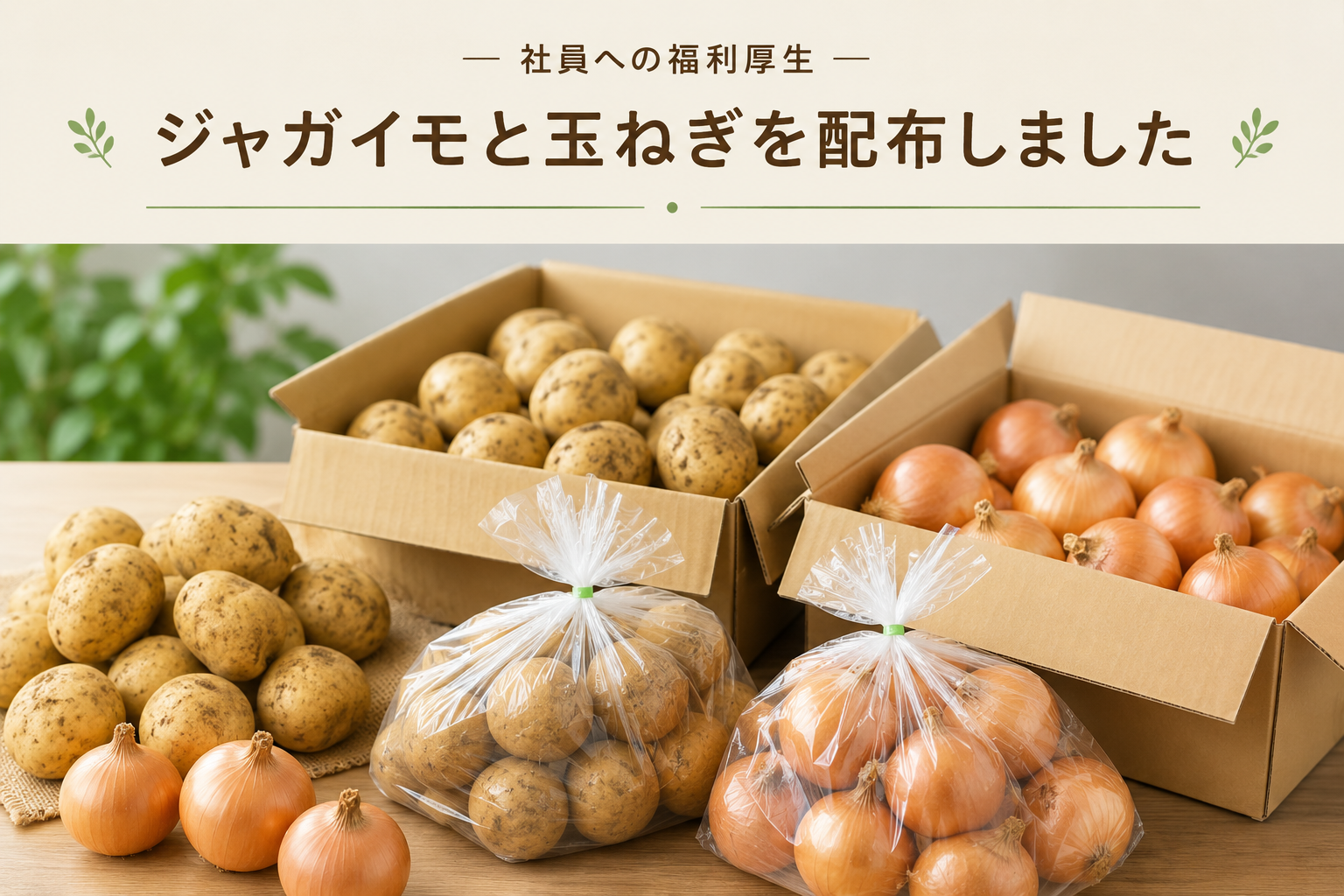 社員へジャガイモと玉ねぎを配布しました